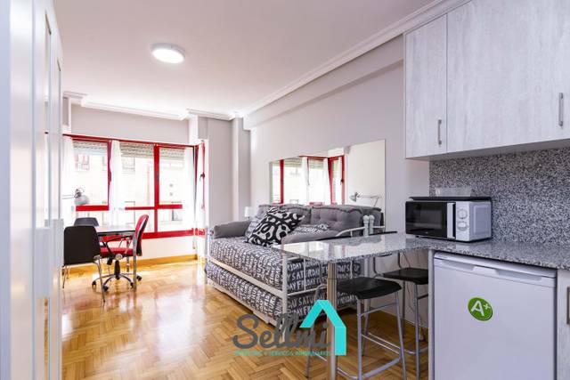 Estudio en Alquiler en Leopoldo Alas en Auditorio - Seminario - Parque de Invierno