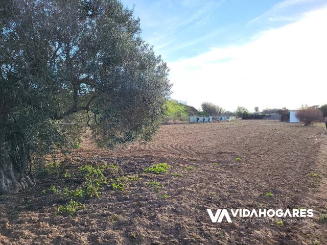 Finca rústica en Venta en Norte - Blanca Paloma