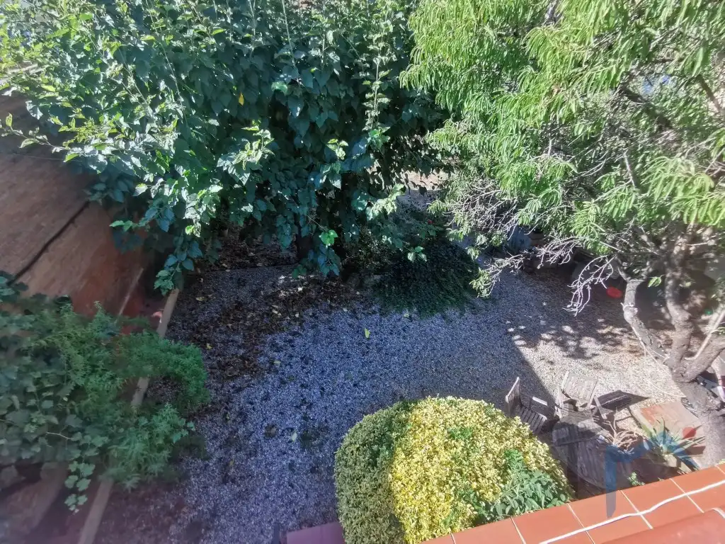 Garden of Detached homes for sale in Piera