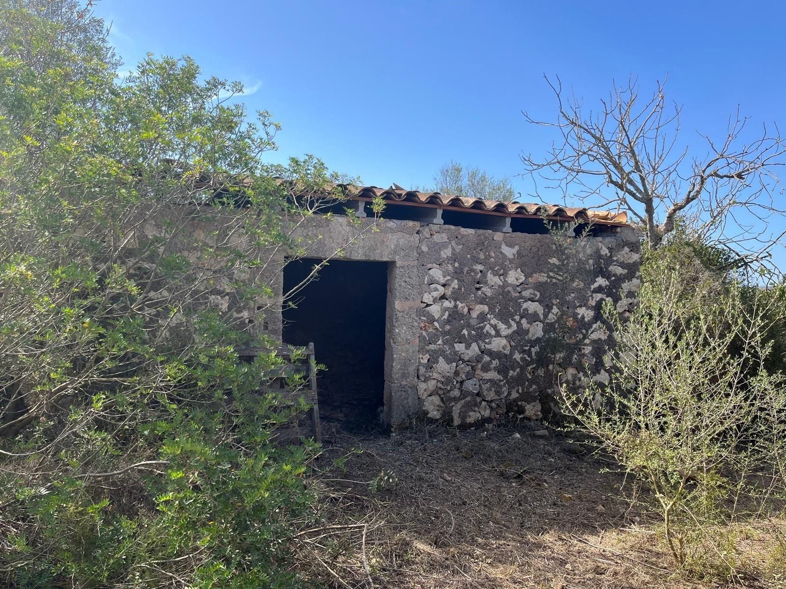 Finca rústica en venda a Ariany