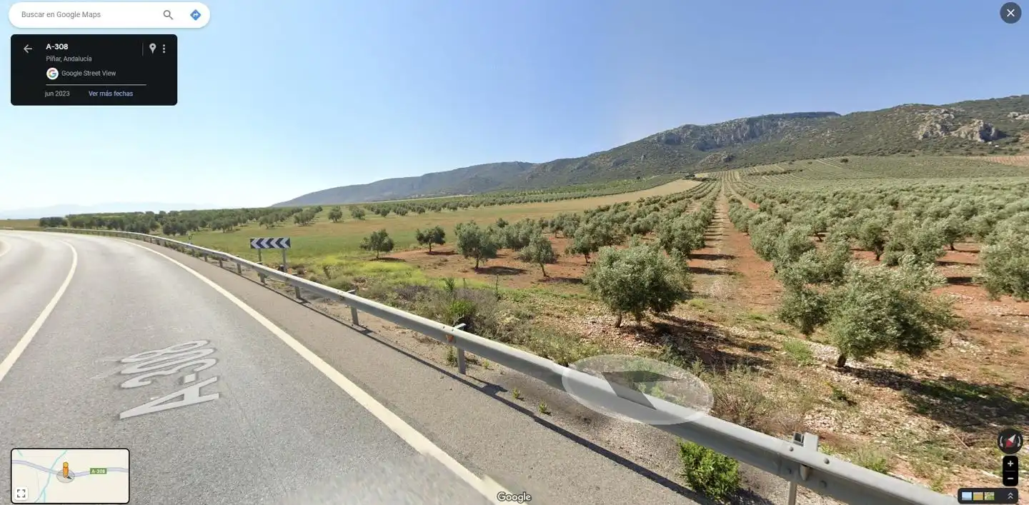 Terreny rústic en venda a De Bogarre A Darro Km 22 22, imagen 3