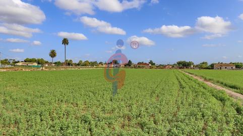 Foto 3 de Finca rústica en venda a Vereda Cañizares, 79, Callosa de Segura, Alicante