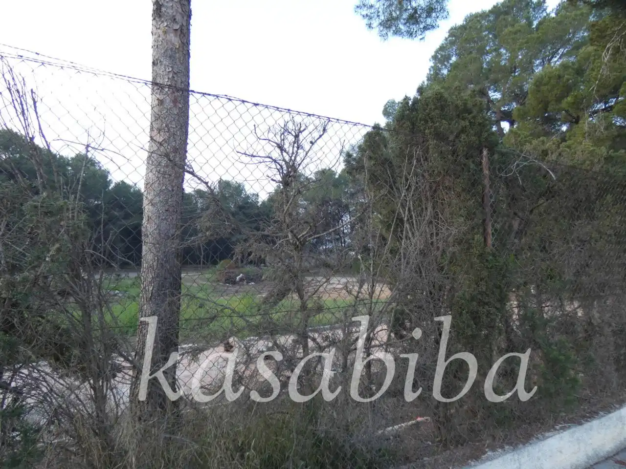 Terreny residencial en venda a Calle 228, imagen 18