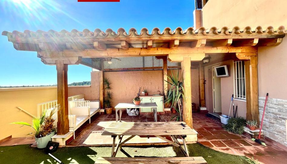 Photo 1 of House or chalet for sale in Los Molinos, Sevilla