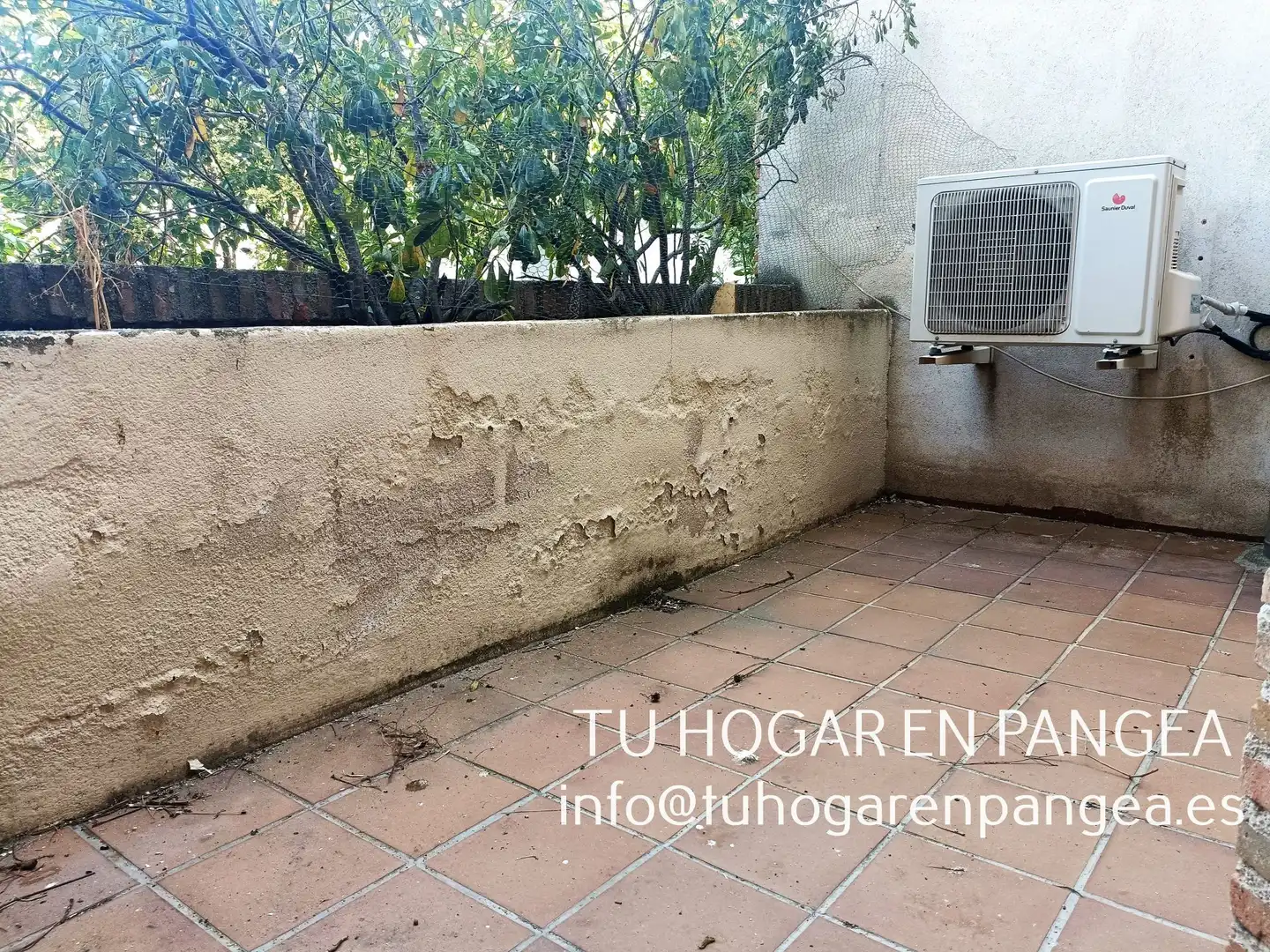 Jardí de Local de lloguer en El Álamo