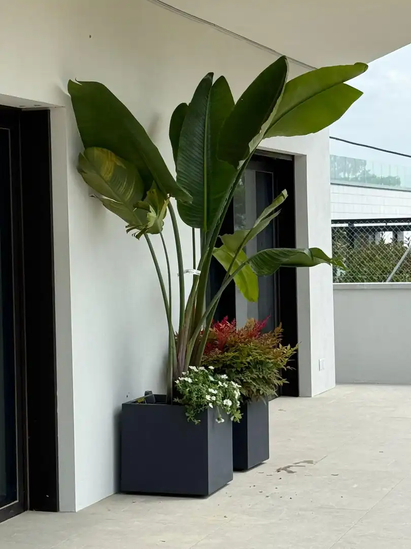 Villa con giardino in vendita a Calle MONTARDO, imagen 8