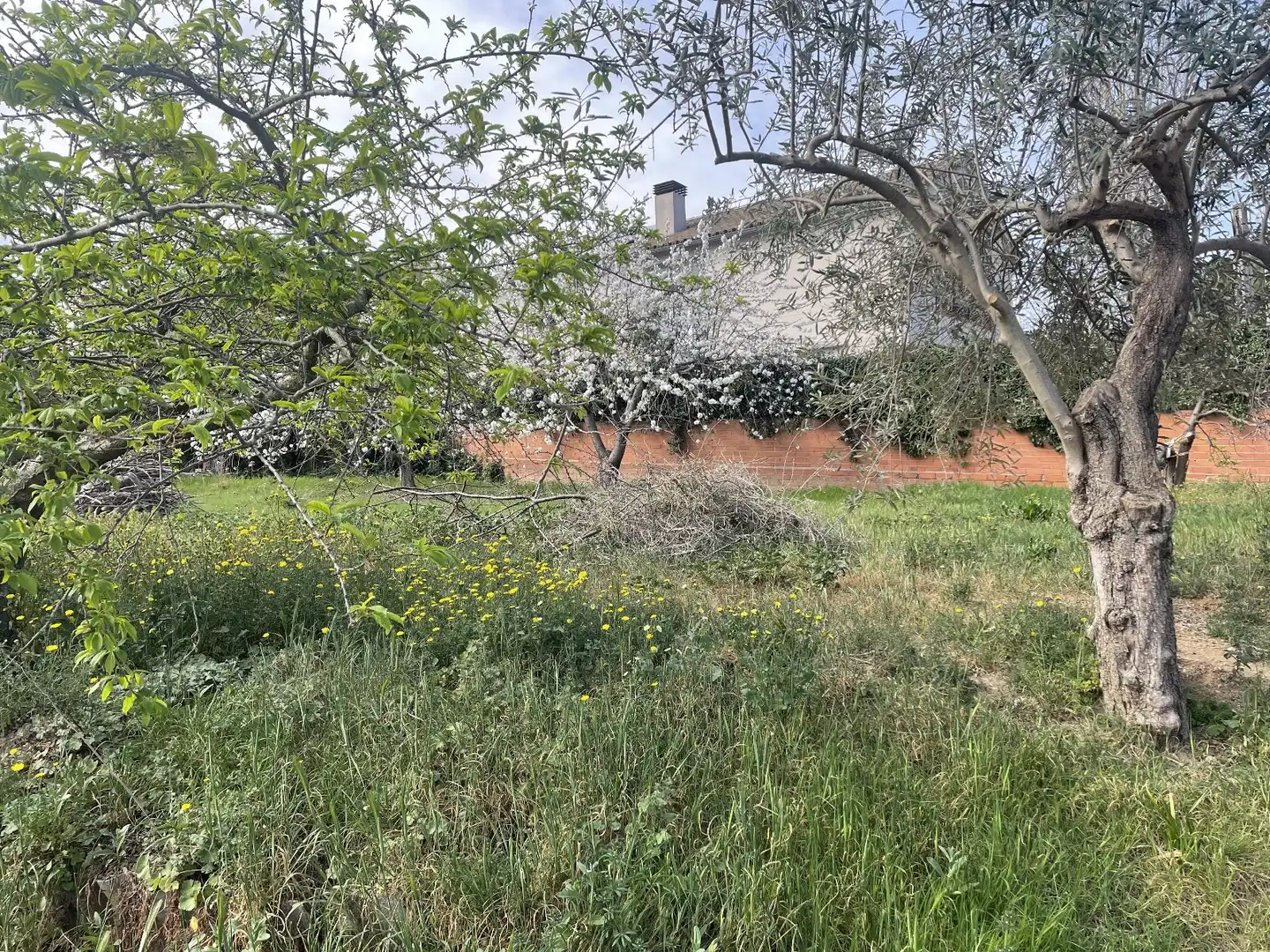 Residential land for sale in Sud, imagen 4