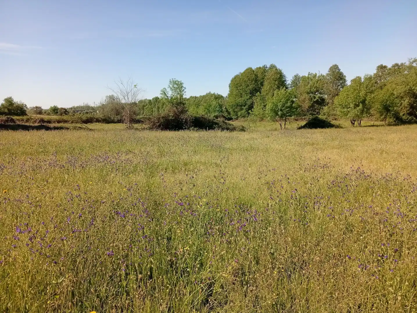 Terreni e lotti in vendita a Talaveruela de la Vera, imagen 69