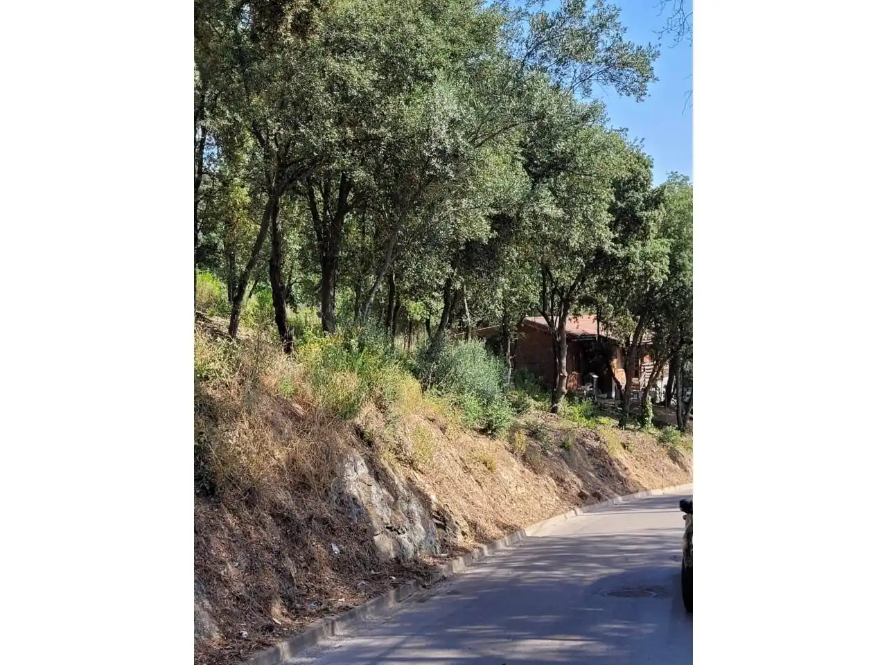 Terreny rústic en venda a El Racó - Sant Feliu del Racó, imagen 11