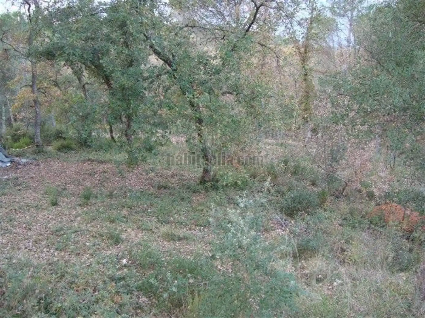 Terreny residencial en venda a Caldes de Malavella