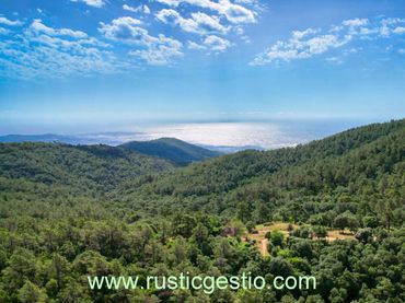 Casa rústica amb jardí en venda a Mas Pere - Río de Oro