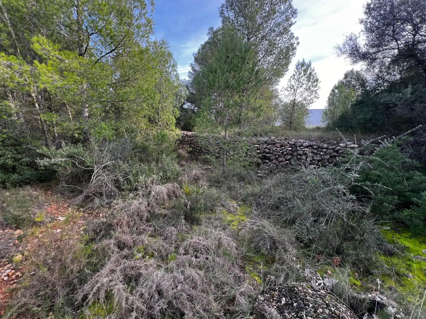 Residential for sale in Sant Joan de Moró