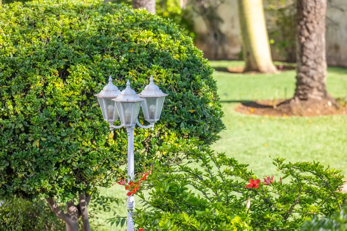 Garden of Apartments for sale in Dénia  with Air Conditioner and Community pool