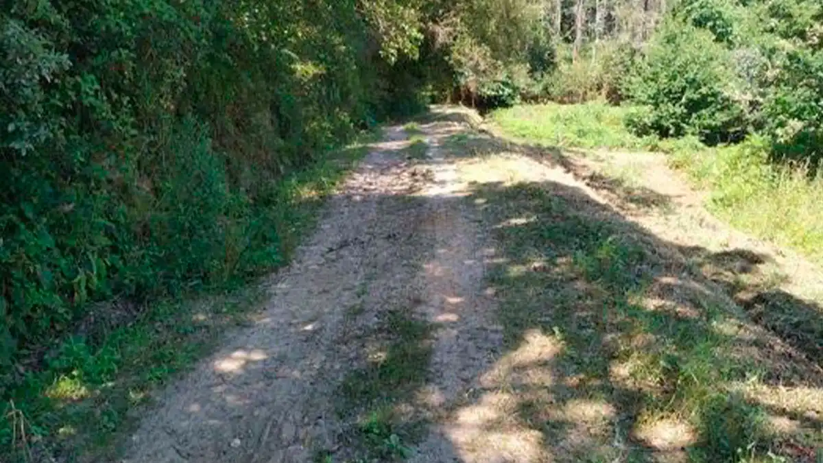 Terreny rústic en venda a Lugar Souto 12, imagen 6