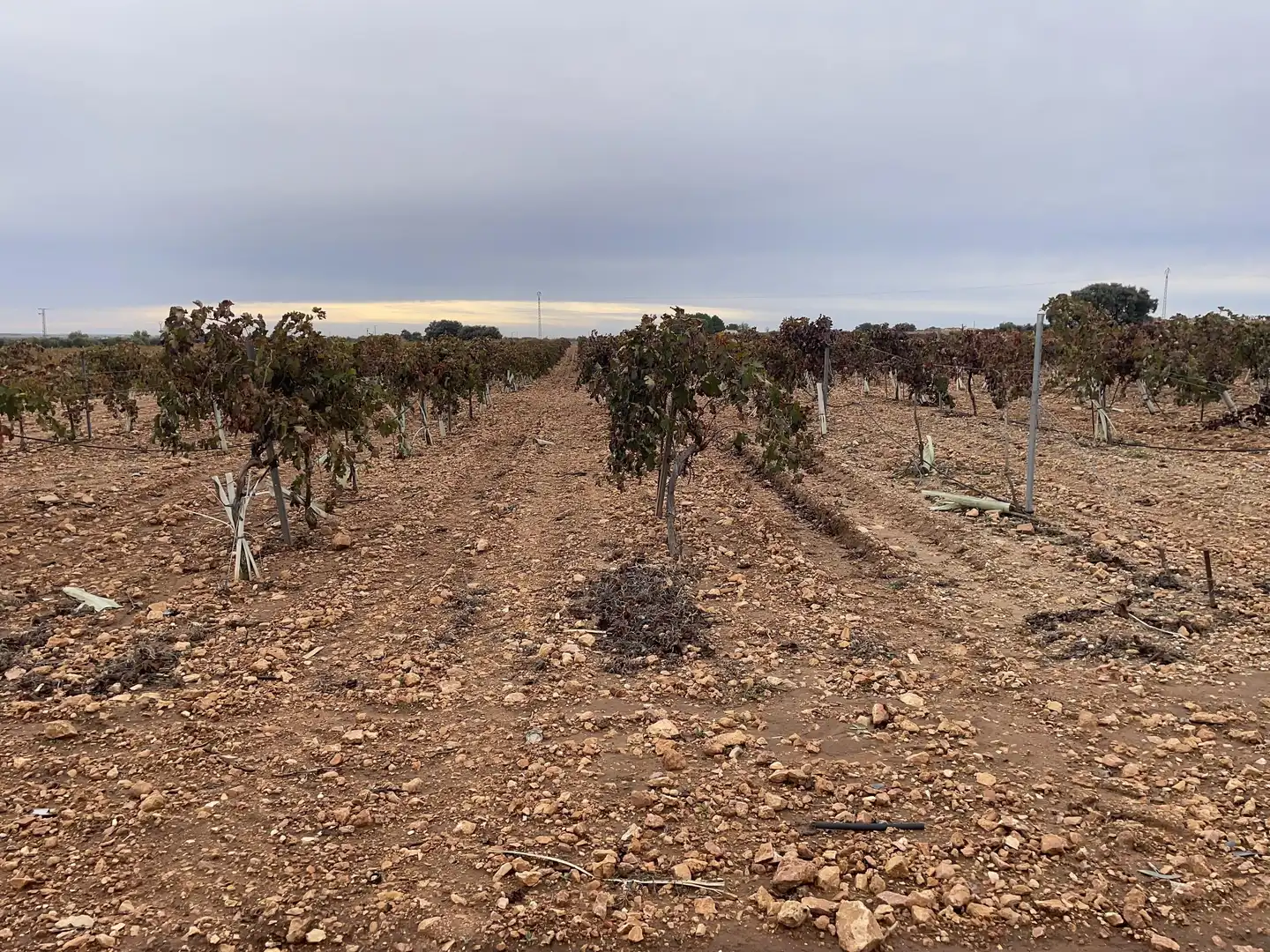 Terreno rustico in vendita a TO-2999 5, imagen 10