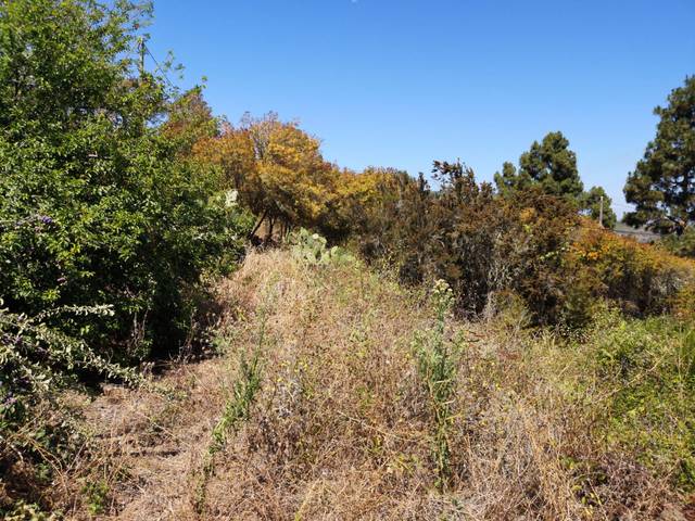 Finca rústica en Venta en Carretera el Amparo en Icod de los Vinos pueblo