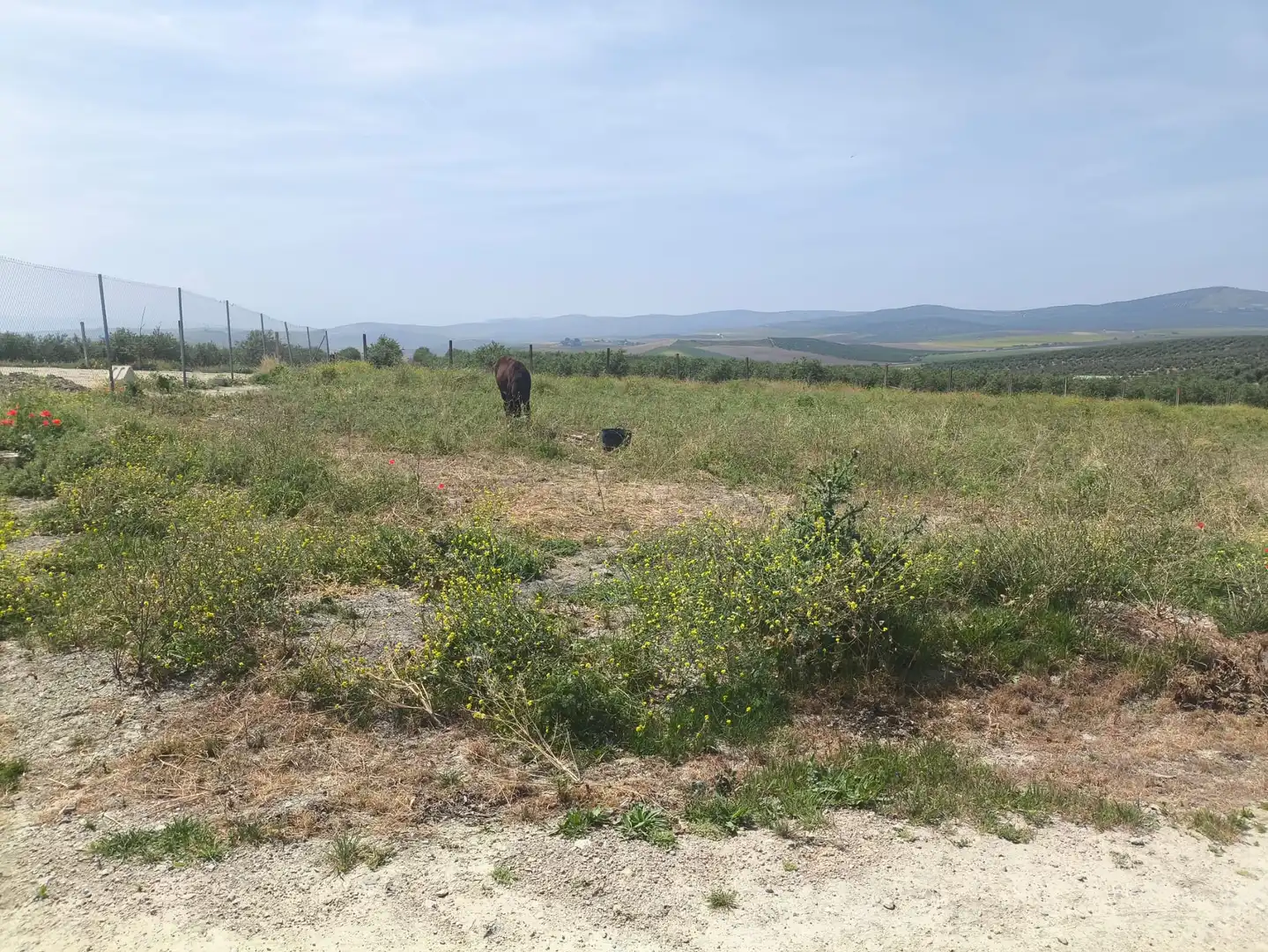 Terreni e lotti in vendita a Mengíbar, imagen 6
