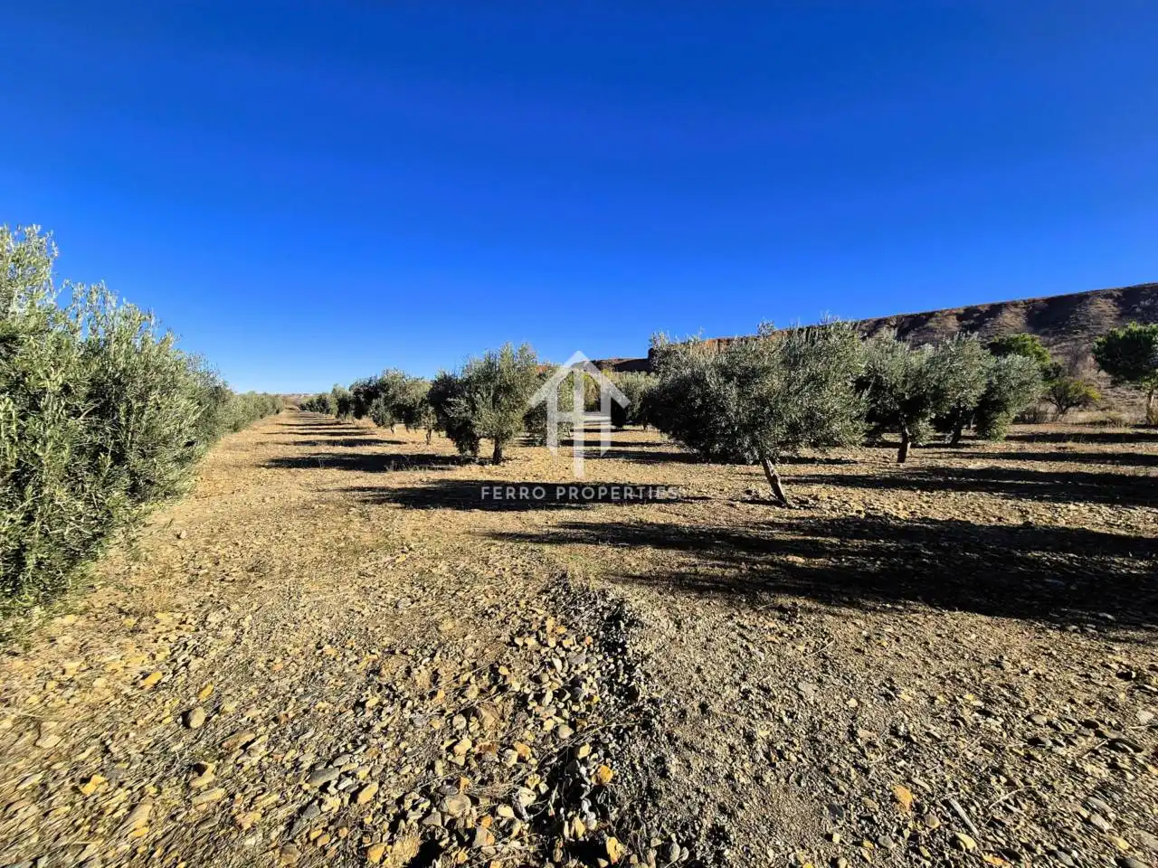 Lands and plots for sale in Lanteira, imagen 2
