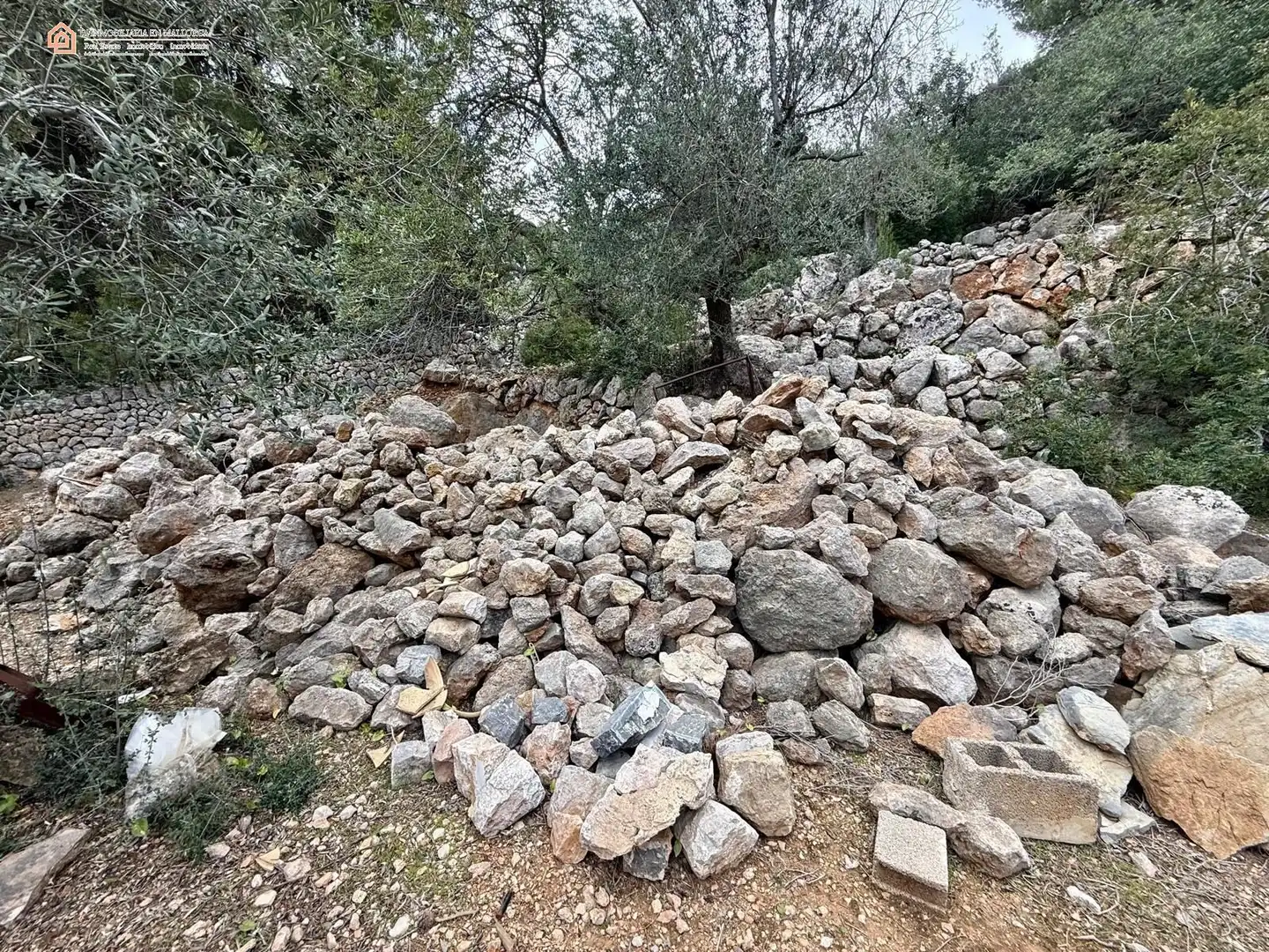Casa rústica en venta en Camino Fornalutx 1, imagen 9