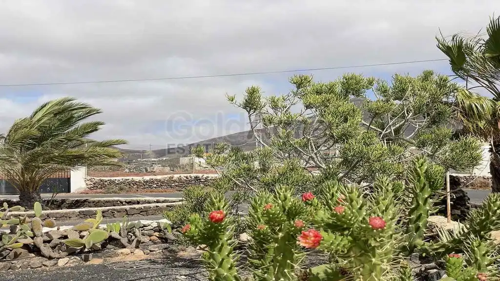 House for sale in Tindaya, imagen 41