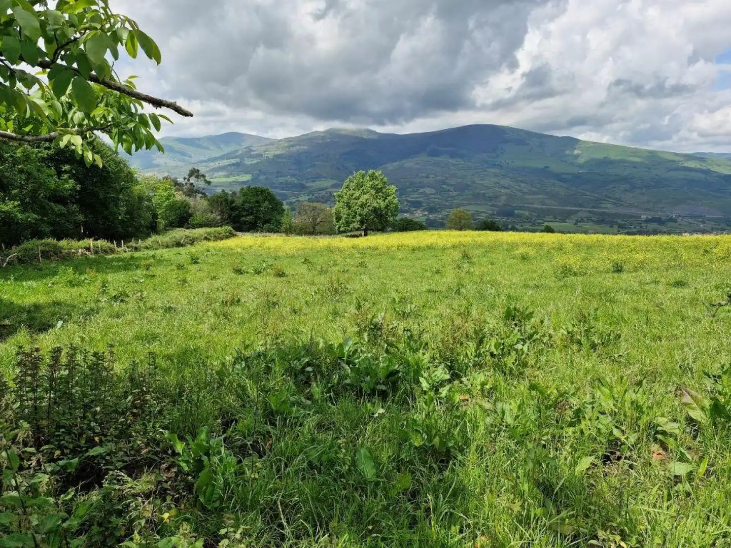 Land for sale in Molledo