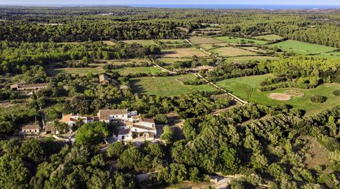 Gran finca con casa de campo antigua y boyeras reformadas en Alaior, immagine 3