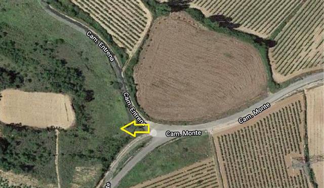 Terreno en Venta en Entrena