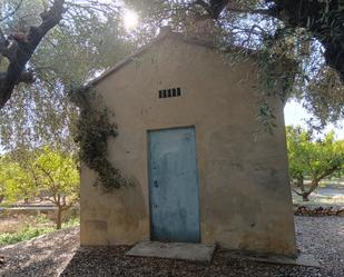 Exterior view of Country house for sale in Alquerías del Niño Perdido