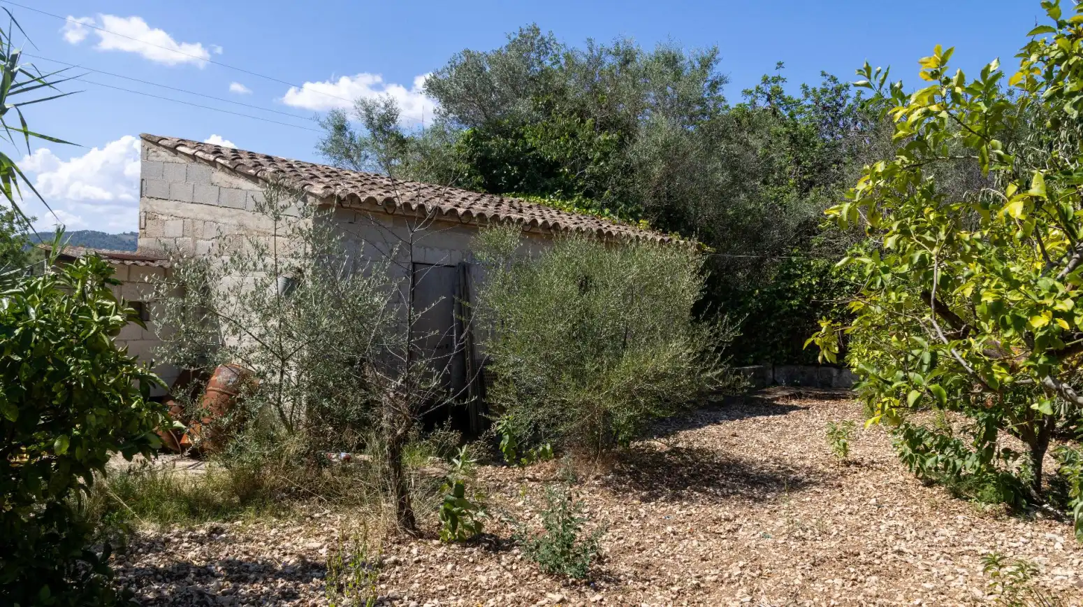 Vista exterior de Casa o xalet en venda en Pollença amb Aire condicionat, Terrassa i Traster