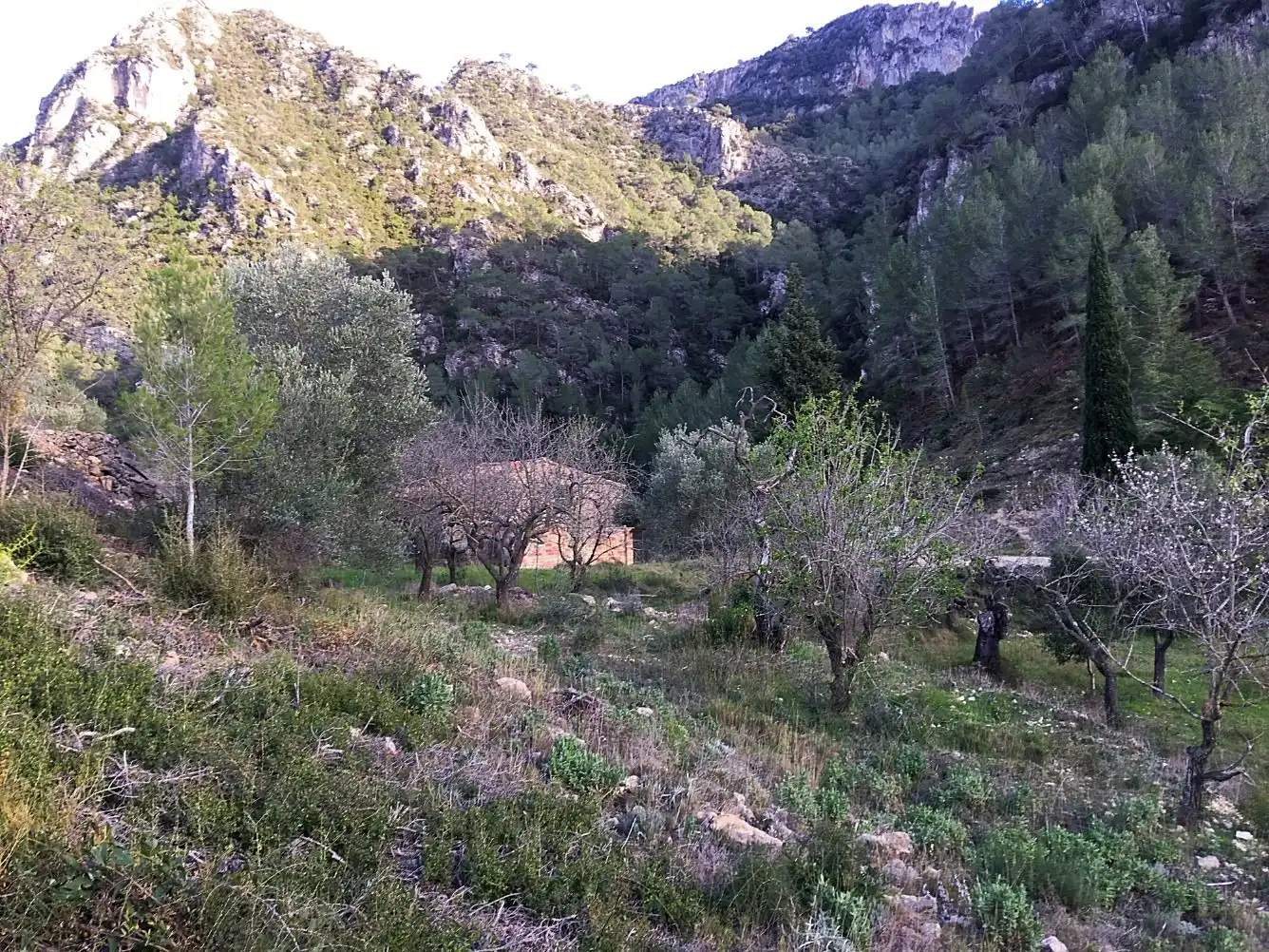 Country house for sale in Benifallet, imagen 34
