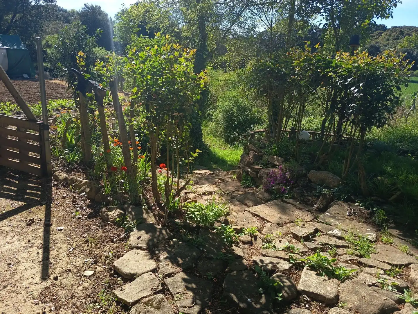 Garden of Land for sale in Leoz / Leotz