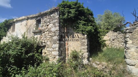 Foto 3 de Finca rústica en venda a Rossell, Castellón