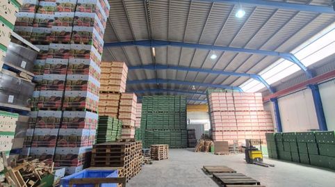 Photo 5 of Commercial properties for rent in Paraje Cueva del Gato, 4, Balerma, El Ejido