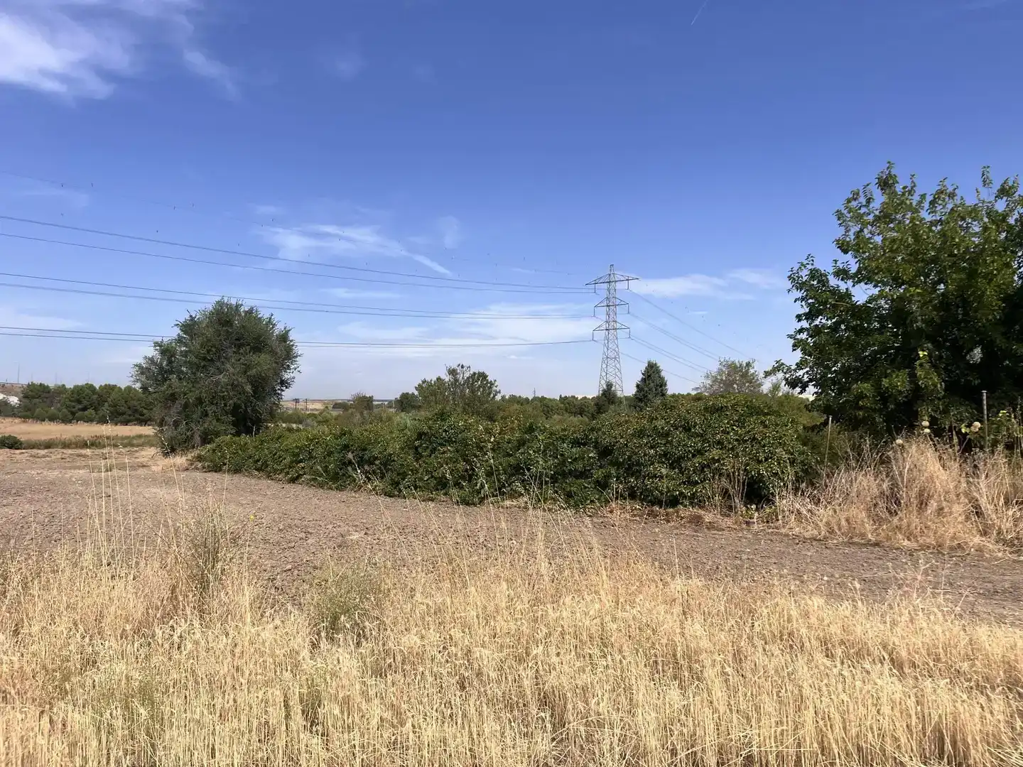 Land for sale in Pinto