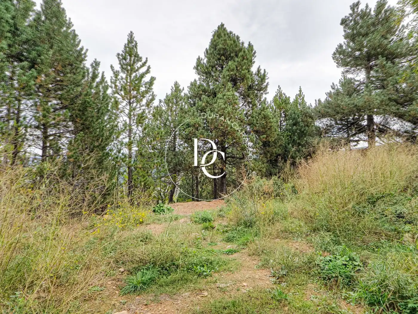 Residential for sale in Alp