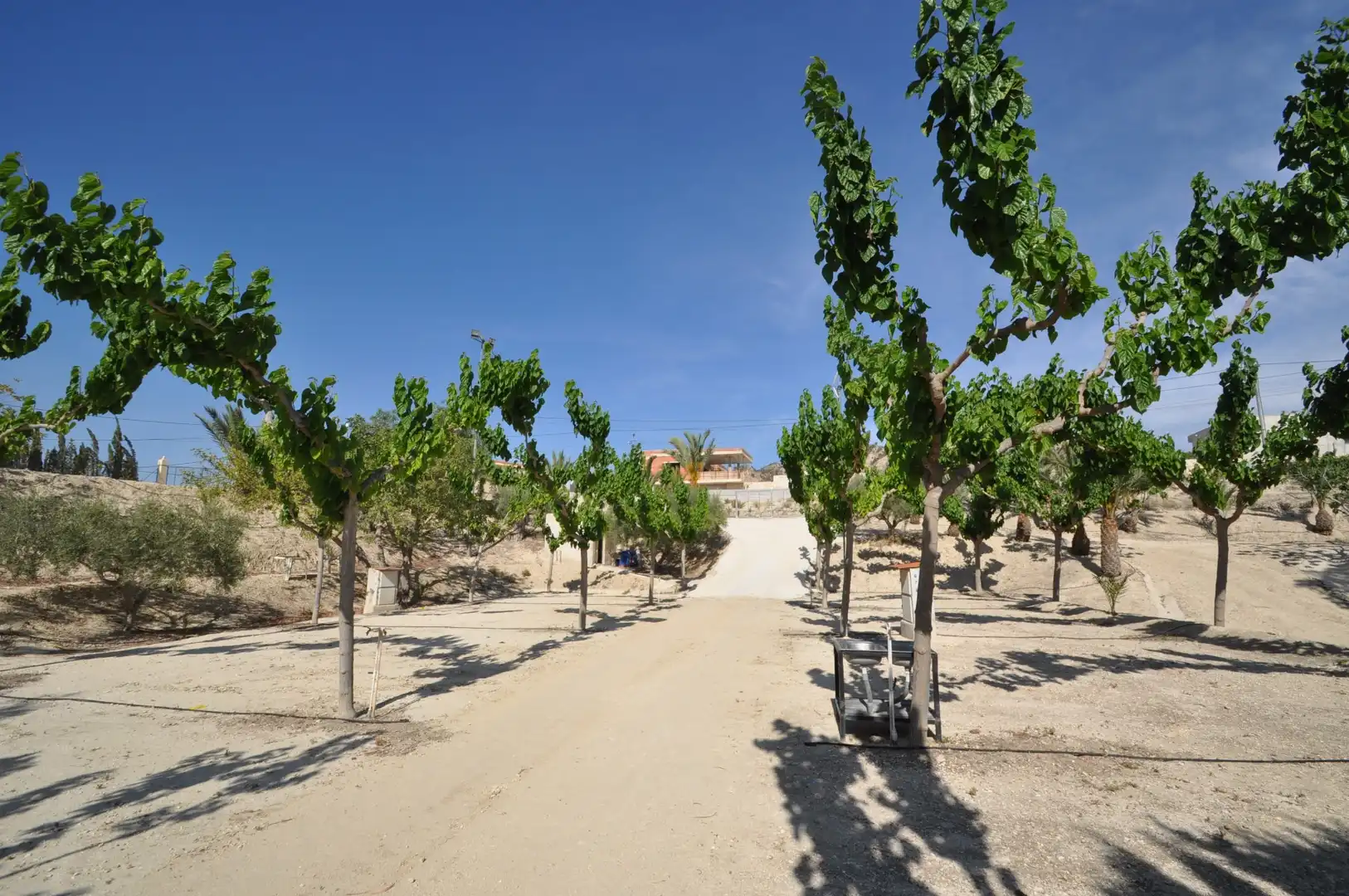 Business premises for sale in Abanilla, imagen 11