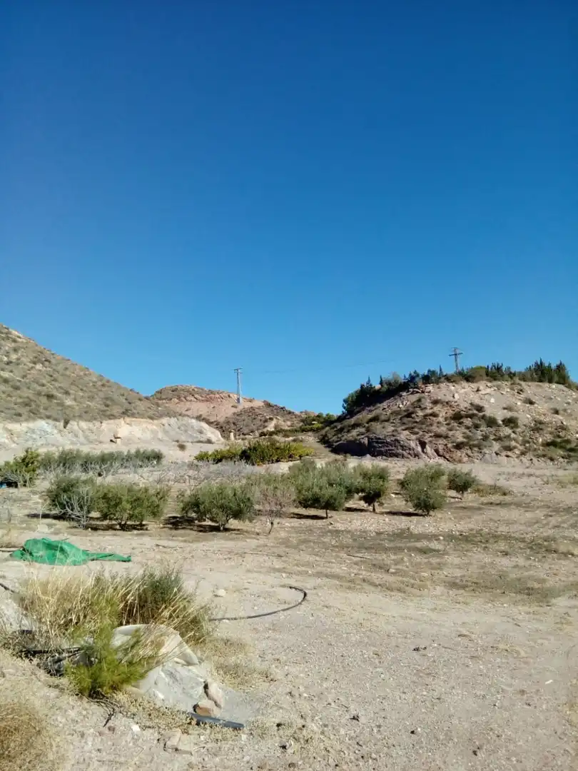 Casa rústica amb jardí en venda a Tébar - Los Arejos, imagen 10