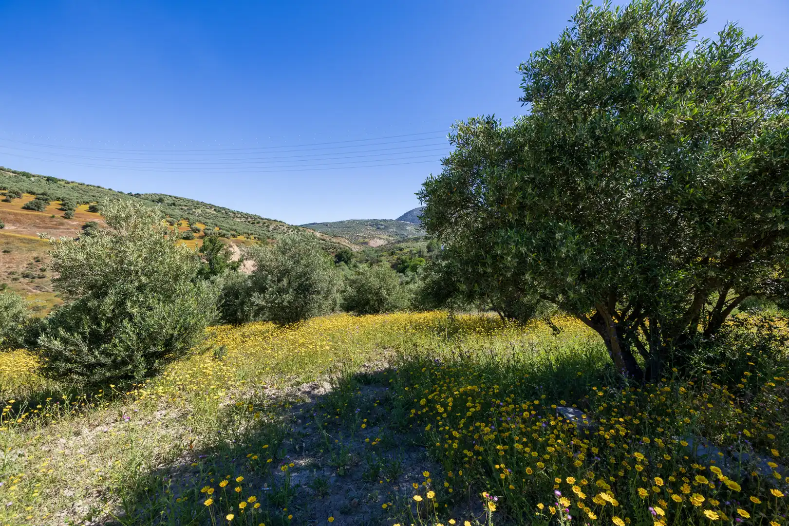 Rustikales Grundstück zum Verkauf in Paraje del molino 2, imagen 15