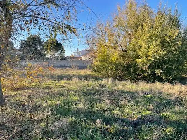 Terreno rustico in vendita a Pelabravo, imagen 2