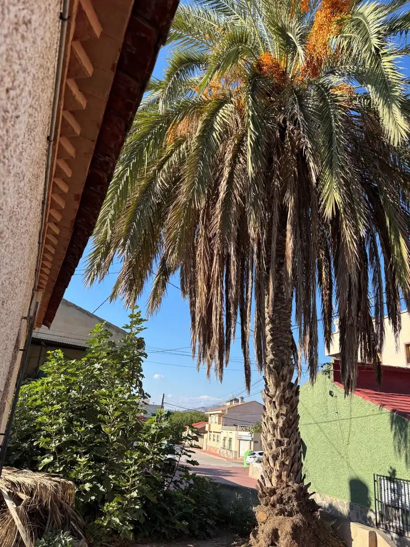 Exterior view of Houses for sale in Murcia