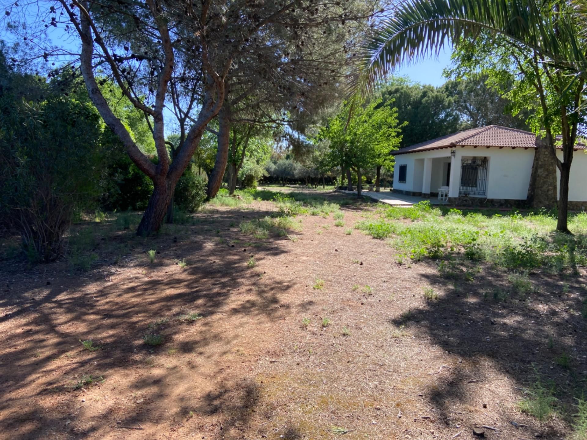 Casa o xalet en venda en Ciudad Real Capital amb Aire condicionat, Jardí privat i Terrassa