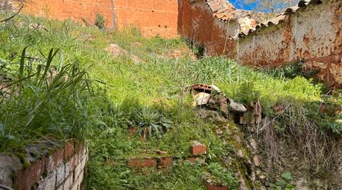 Photo 3 of House or chalet for sale in Travesía Santo, Carrizosa, Ciudad Real