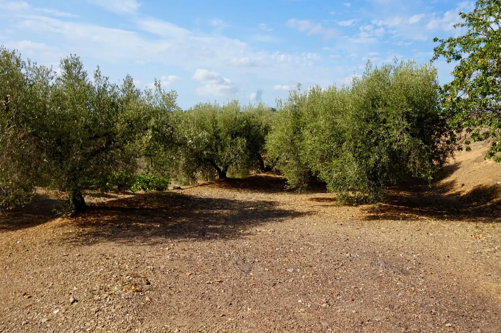 Terrain rustique à vendre à Moli de Vent, imagen 31