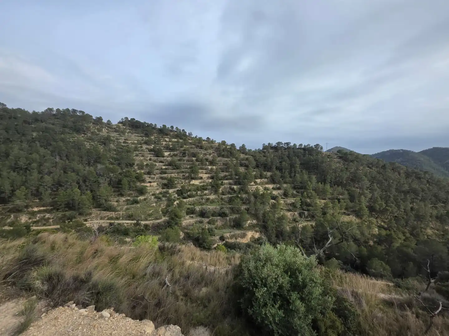 Terreno en venta en Sella