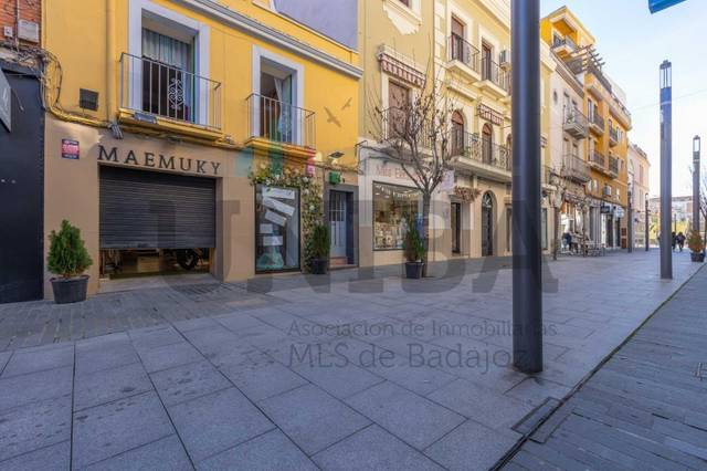 Piso en Venta en Casco Antiguo