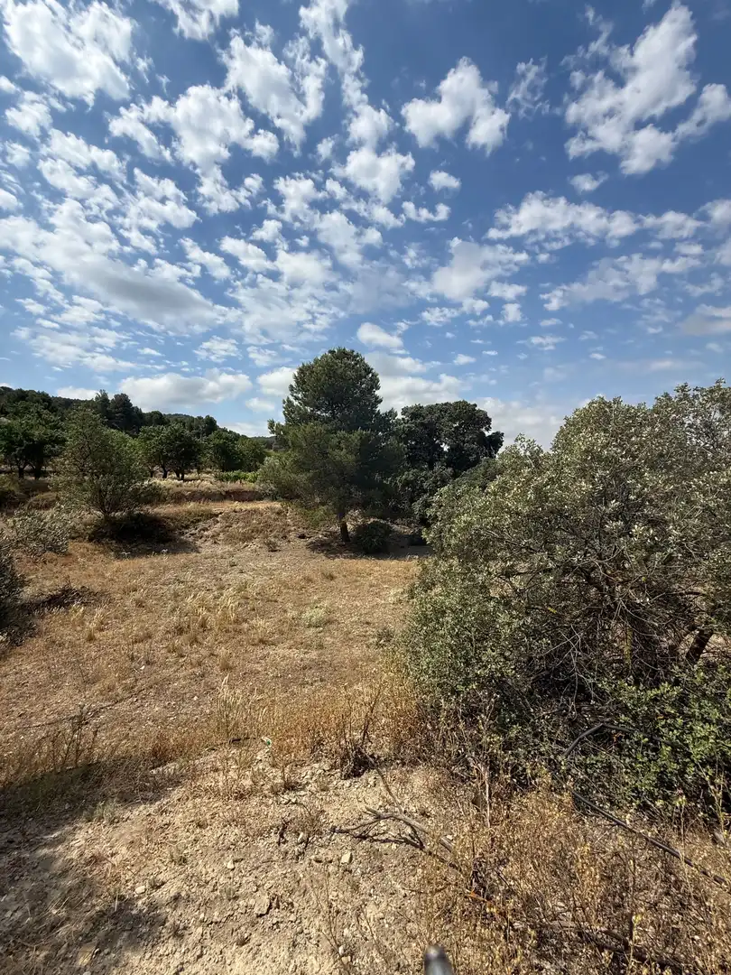 Terrenys i solars en venda a Biar, imagen 5