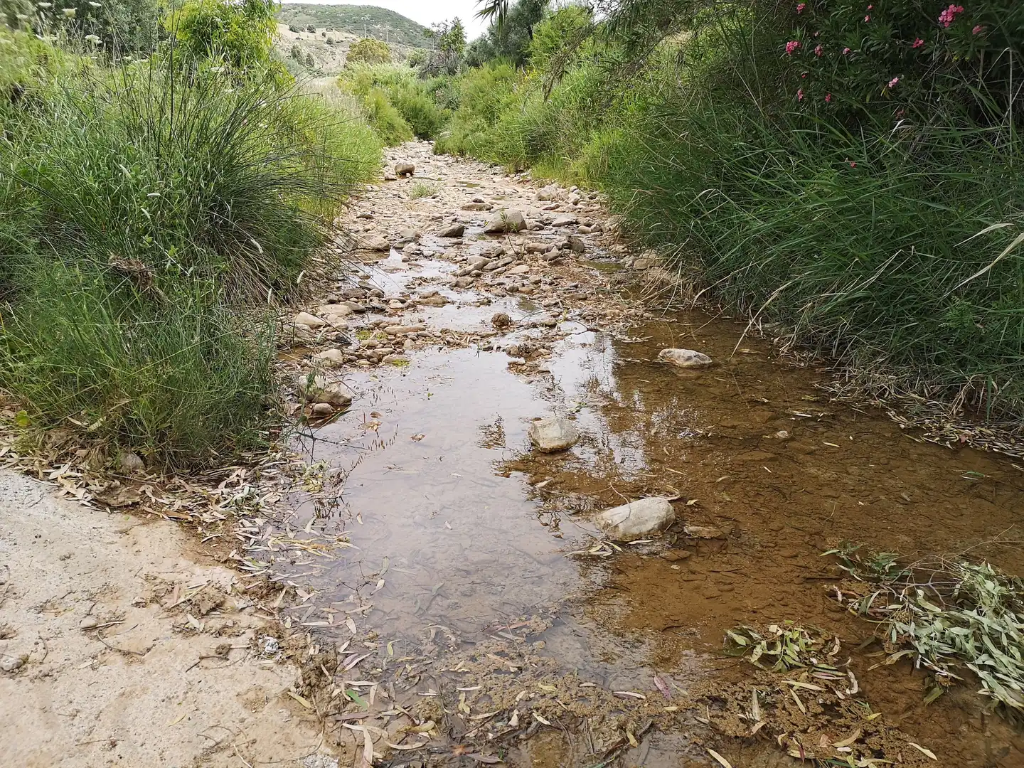 Vista exterior de Finca rústica en venda en Antequera amb Traster