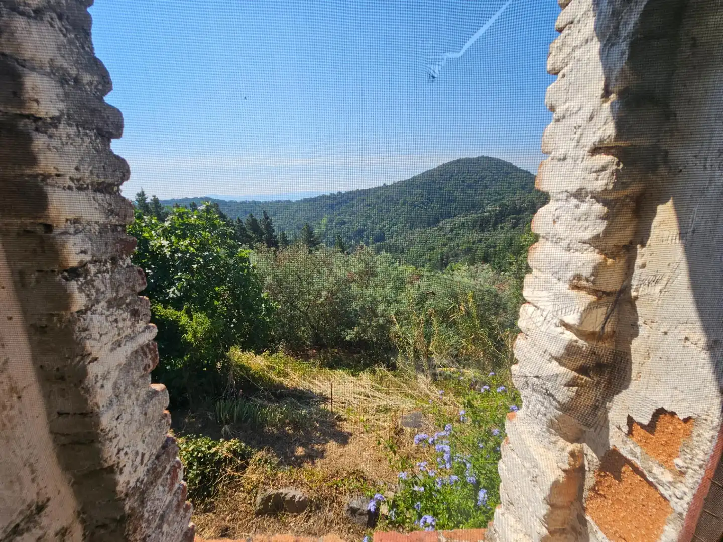 Jardí de Finca rústica en venda en Riells i Viabrea amb Jardí privat i Traster