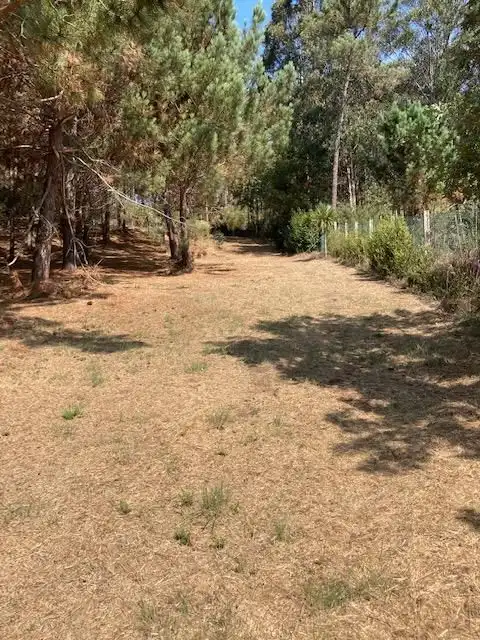 Casa o xalet en venda en Carballo amb Terrassa i Forn