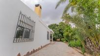 Vista exterior de Casa o xalet en venda en Elche / Elx amb Jardí privat i Piscina